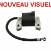 * Bobine Allumage Briggs Et Stratton Moteur Quantum 5 Et 6.75Cv> Accessoire Pour Tondeuse Et Autoportée