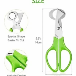 * Thsinde Lot De 4 Ciseaux A Oeufs De Caille, Ciseaux A Oeufs De Caille En Acier Inoxydable, Petits Ciseaux A Oeufs De Caille> Accessoire Pour Tondeuse Et Autoportée