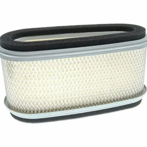 * Vhbw Lot De Filtres Compatible Avec Moteur Fc420V S03 Moteur Pour Moteur De Tondeuse A Gazon 2X Filtres De Rechange (1X Filtre A Air, 1X Prefiltre)> Accessoire Pour Tondeuse Et Autoportée